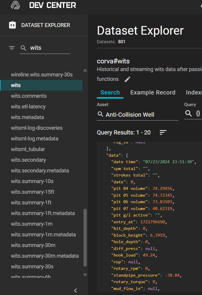 Dataset Explorer showing the wits dataset and its data fields