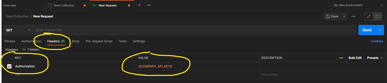 input your api key